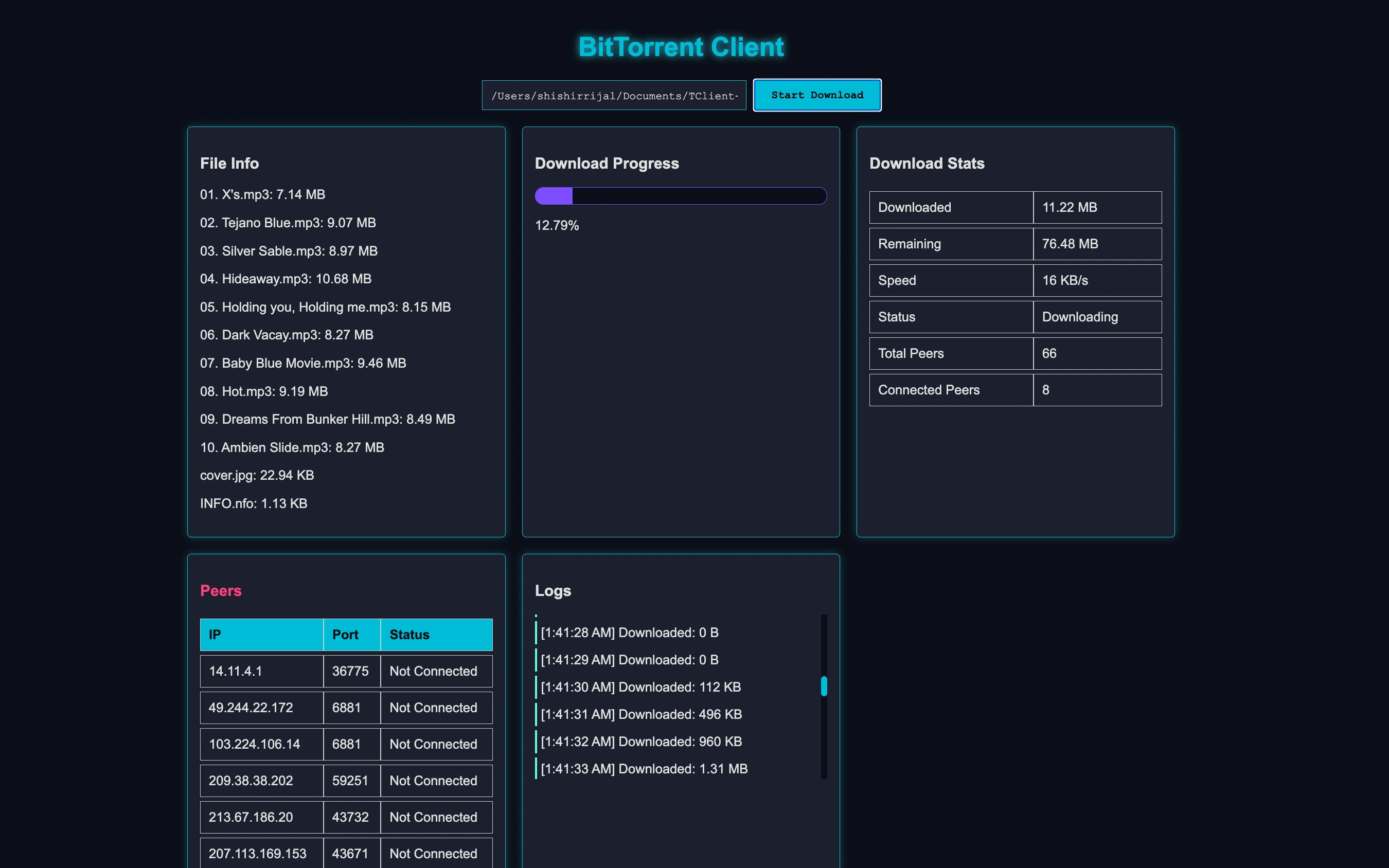 BitTorrent Client